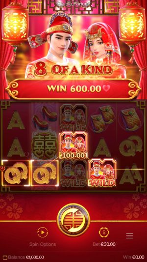 Double Fortune Captura de tela do jogo 8