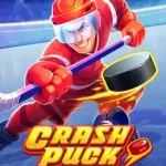 Crash Puck