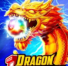 Dragon Treasure