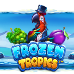 Frozen Tropics™