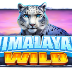 Himalayan Wild