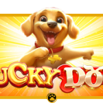 Lucky Dog