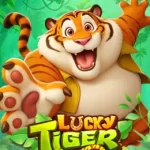 Lucky Tiger