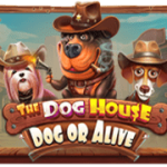 The Dog House – Dog or Alive