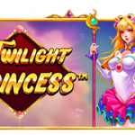 Twilight Princess™